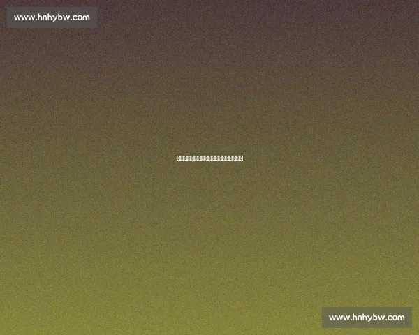 球台无界：樊振东与小弗的跨语言战术日常